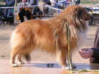 FABIO ze Zlaté hvězdy