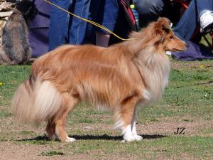 FAIN FRIEND Chancy Remus