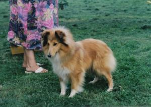 FAIR FAIRY z Ďáblovy studánky CS