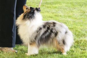 FANTASY ze Zlaté hvězdy