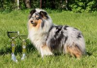 FANTASY ze Zlaté hvězdy