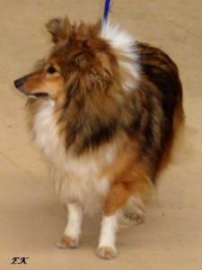 FAVOURITE ARHE Slapská alej