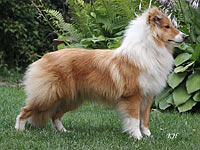 Felicita ze Skalní vyhlídky