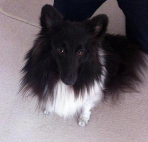 FEMME FATALE z Ďáblovy studánky