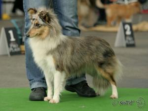 Fiesta z Vesničky u hranic