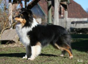 Flower ze Skalní vyhlídky