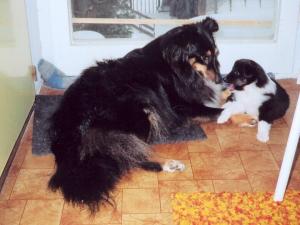 FOO SITA z Benešovské zahrady