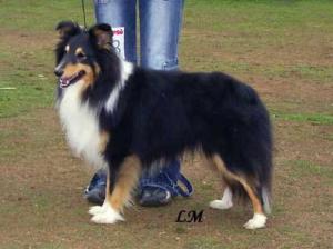 FREE FLAME z Benešovské zahrady