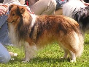 FRENCH z Josefovské pevnosti