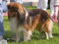 FRENCH z Josefovské pevnosti