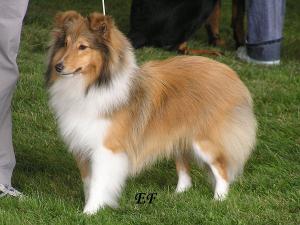 FRENCH ze Skalní vyhlídky