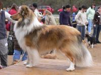 FRENCH ze Skalní vyhlídky