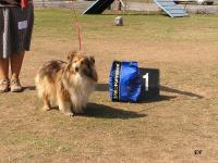 FRESH FLOWER Bohemia Platina