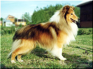 FRIEND FRIDAY z Ďáblovy studánky CS