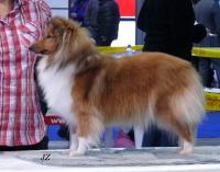 Gadgetka Manepo Ideál