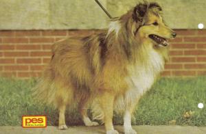 GARY z Černínské tvrze CS