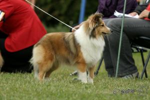 GIMMI ze Skalní vyhlídky