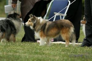 GOLDIE ze Skalní vyhlídky