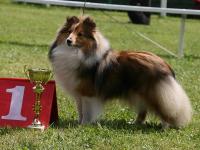 Gotika z Ďáblovy studánky