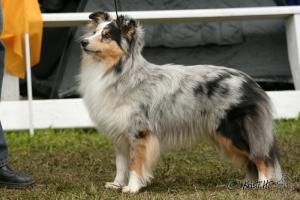 GRAFFITI Perla z Polabí