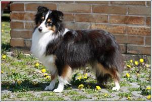 GRAFIKA z Ďáblovy studánky