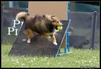 GRIM GOLD Ria-Henria