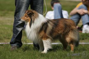 GRIM od Růžové vily