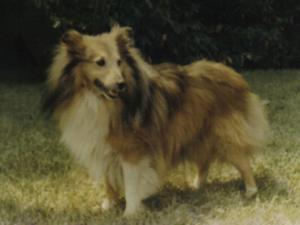 Harvey v. Beustergrund