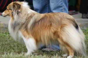 HEY JUDE z Ďáblovy studánky