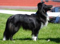 CHARISMA z Ďáblovy studánky