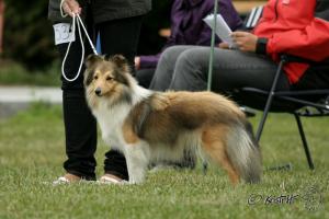 CHITA z Vrchovinské stráně