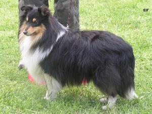 CHOCO MOVI Slapská alej