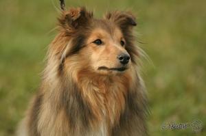 IDA z Vrchovinské stráně