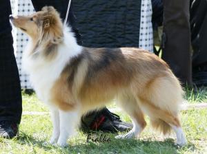 I'M JESSIE ze Skalní vyhlídky