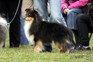 In Black z Vesničky u hranic