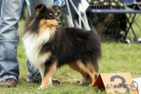 In Black z Vesničky u hranic