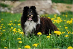 INFINITY BLACK z Ďáblovy studánky