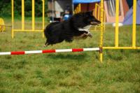 INFINITY BLACK z Ďáblovy studánky