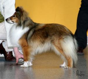 INNOCENT LOVE z Ďáblovy studánky