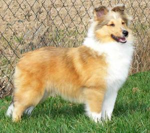 Is Princess ze Skalní vyhlídky