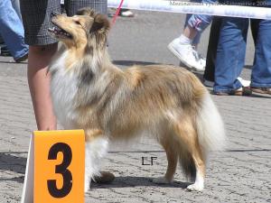 IZZY Želečské vrchy