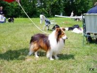 Jack Gold ze Sedlmajerovy vily