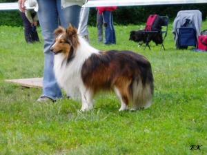 Jack Gold ze Sedlmajerovy vily