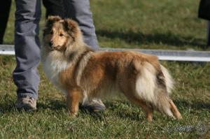 JANE z Josefovské pevnosti