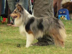 JAWAN BLUE Slapská alej