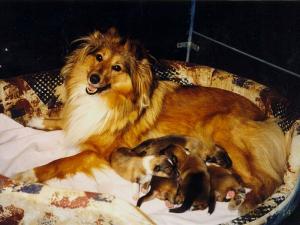 JAYLEA z Ďáblovy studánky