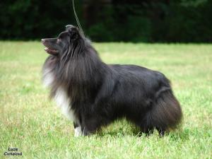 JAZZ NIGHT z Ďáblovy studánky