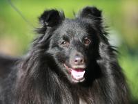 JAZZ NIGHT z Ďáblovy studánky