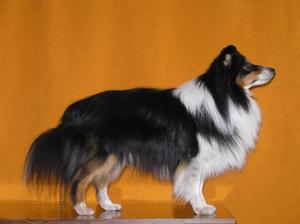 JAZZ ROCK z Ďáblovy studánky