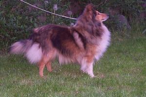 Jessie Joy Gold z Benešovské zahrady